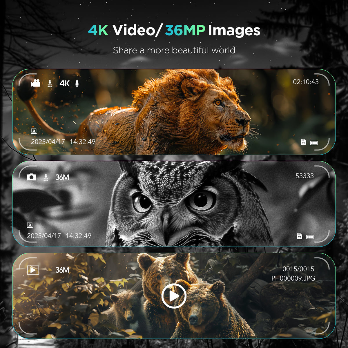 Collage of 4K video and 36MP image thumbnails featuring a lion, owl, and bear.