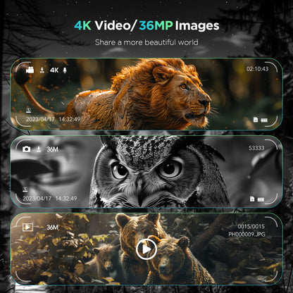 Collage of 4K video and 36MP image thumbnails featuring a lion, owl, and bear.