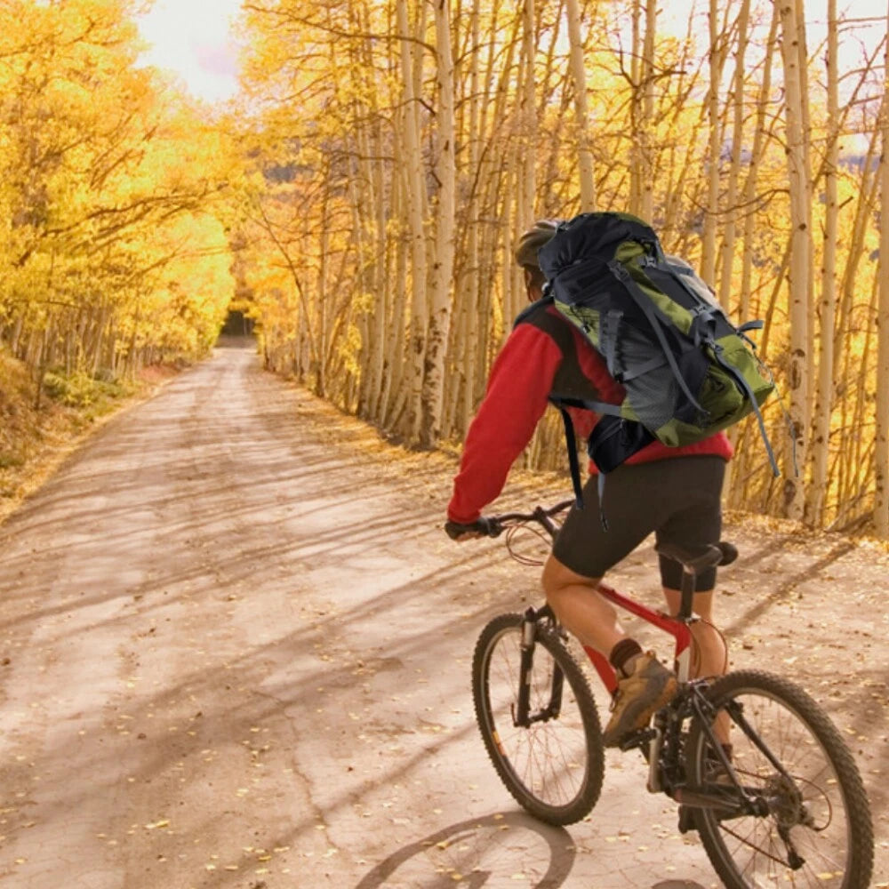 A person riding a mountain bike on a dirt path surrounded by bright yellow autumn trees, wearing a red and black jacket, black shorts, and carrying a large blue and green backpack.