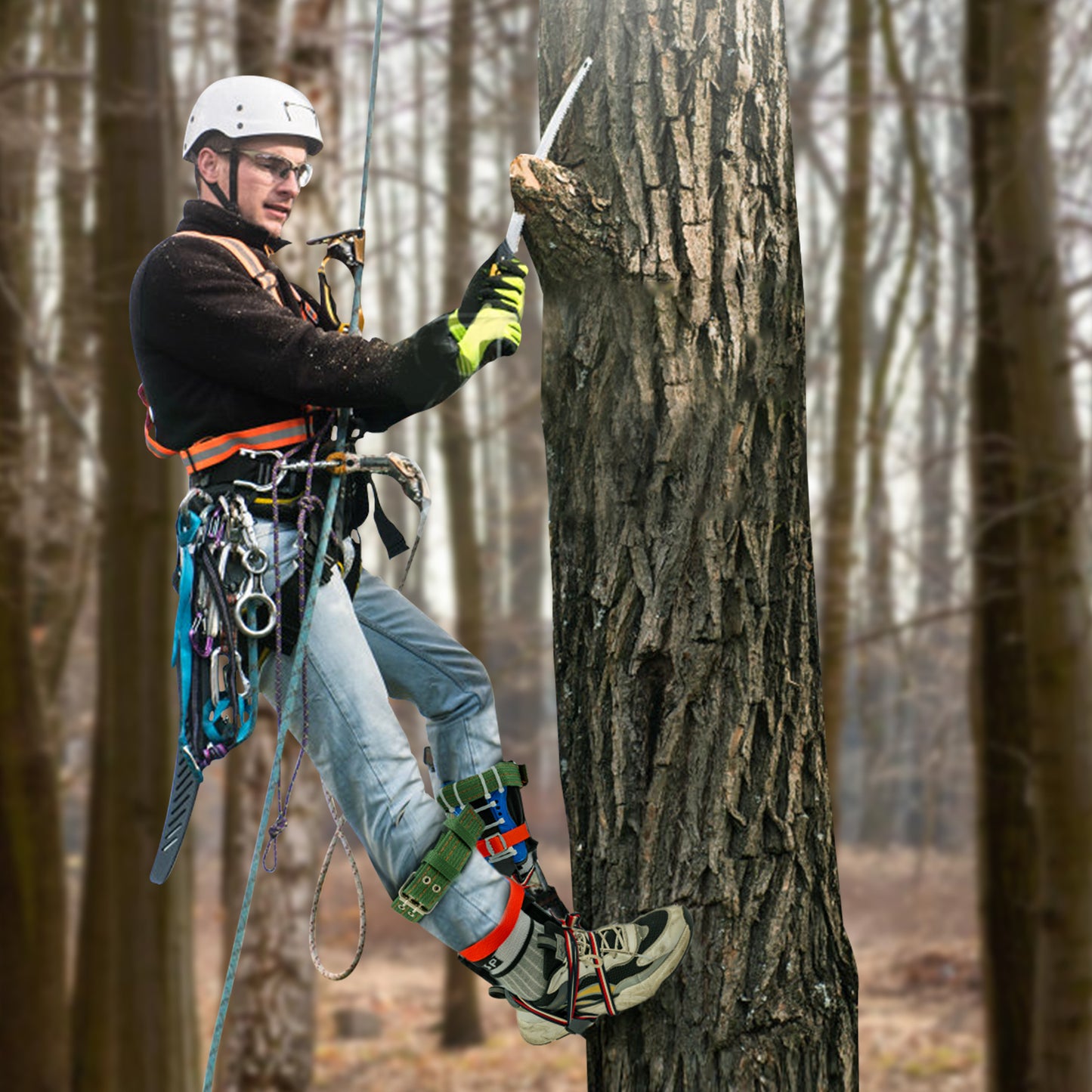 Person in a forest using climbing gear to work on a tree