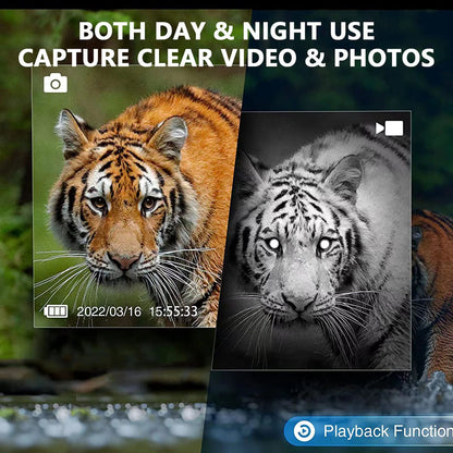 Two tiger images, one in color and one in black and white, with text about video and photo capture.