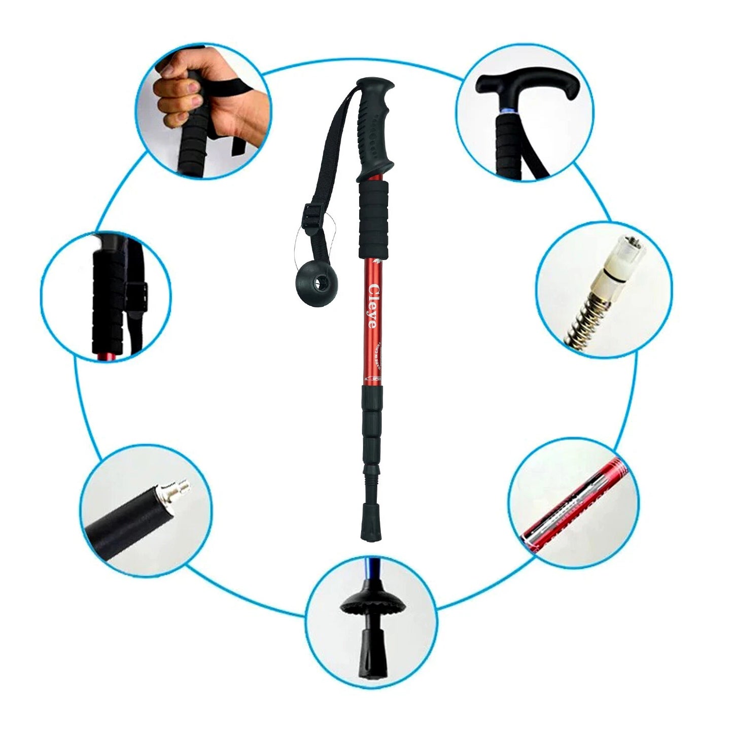 Collage of a walking stick with close-up insets on a white background