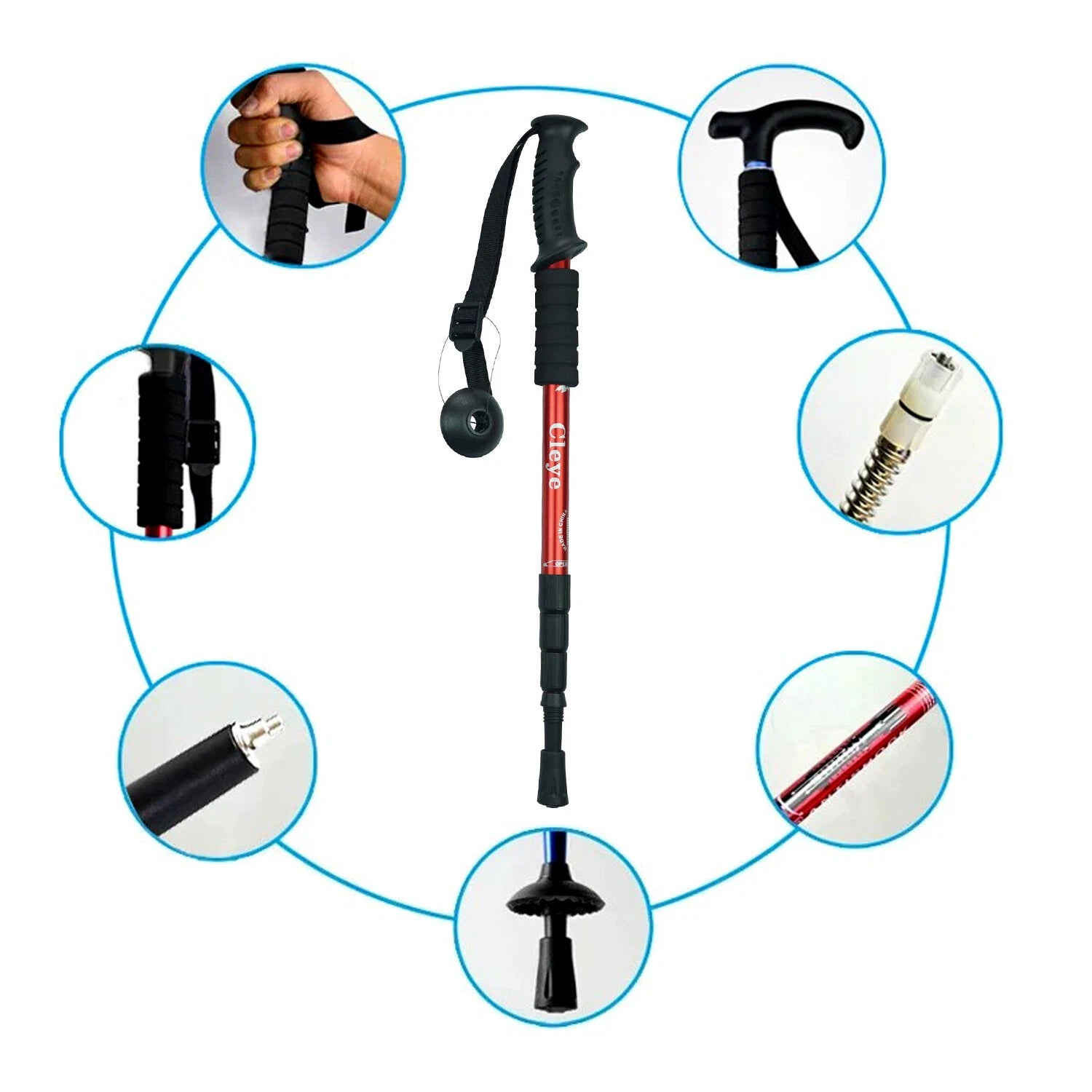 Collage of a walking stick with close-up insets on a white background
